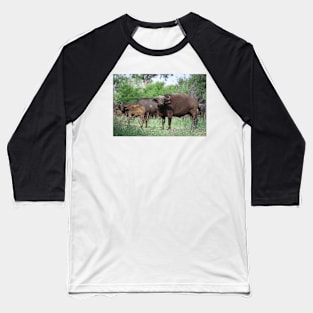 Buffalo & calf Baseball T-Shirt